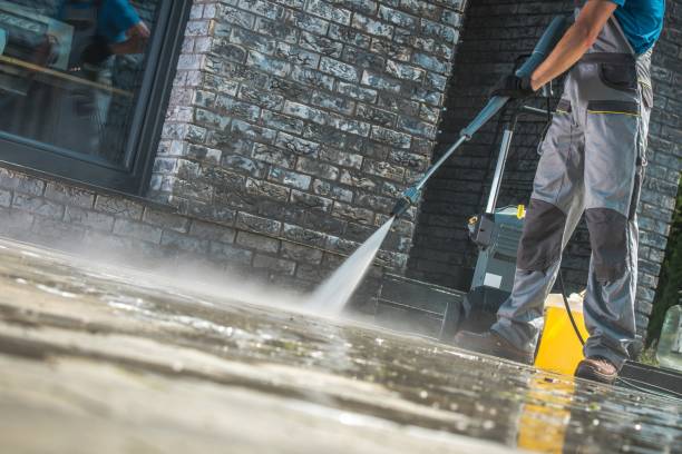 Best Driveway Pressure Washing  in Immokalee, FL