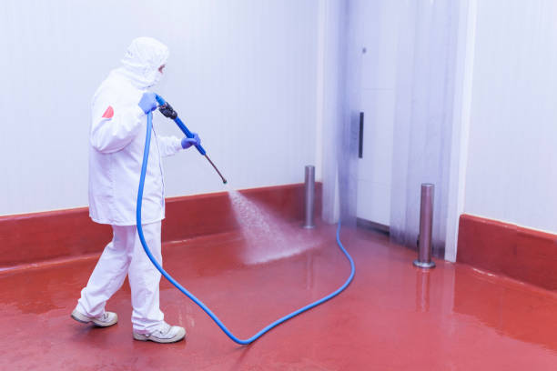 Best Pre-Holiday Cleaning  in Immokalee, FL