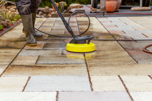 Best Solar Panel Cleaning  in Immokalee, FL